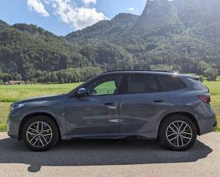 BMW BMW iX1 xDrive30 -Fast-Voll/Garantie/Werksangehöri Gebrauchtwagen