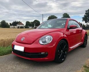 VW Volkswagen Beetle 1.4 TSI DSG BMT ALLSTAR ALLSTAR Gebrauchtwagen