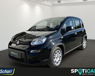 Fiat Fiat Panda 1.0 GSE Hybrid Gebrauchtwagen