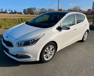 Kia Kia ceed / Ceed 1.6 GDI Edition 7 Gebrauchtwagen