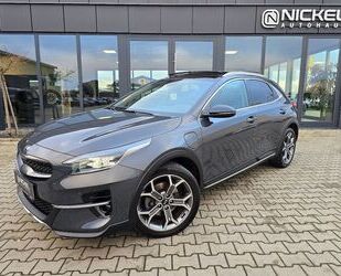 Kia Kia XCeed Platinum Edition Hybrid*Pano*Leder*ACC* Gebrauchtwagen