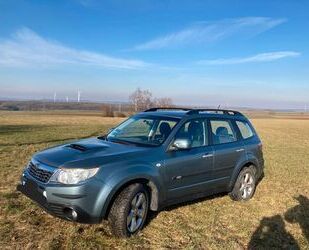 Subaru Subaru Forester Comfort Xenon AHK Gebrauchtwagen