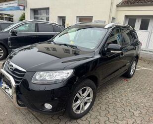 Hyundai Hyundai SANTA FE 2.2CRDI 4WD AUT PREM*XEN*LEDER*NA Gebrauchtwagen