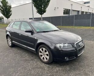 Audi Audi A3 1.6 FSI Ambition Gebrauchtwagen