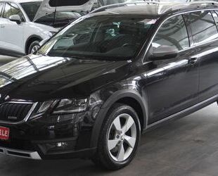 Skoda Skoda Octavia Combi Scout 4x4*ACC*AHK*DAB*KAM*NAV* Gebrauchtwagen