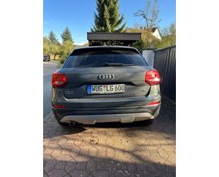 Audi Audi Q2 1.6 TDI design design Gebrauchtwagen