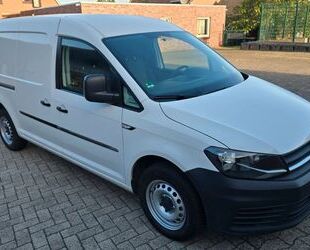 VW Volkswagen Caddy 2.0 TDI Maxi Kasten 1 Hand MwSt A Gebrauchtwagen