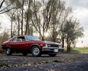 Chevrolet Chevrolet Nova - All original - Matching numbers Gebrauchtwagen