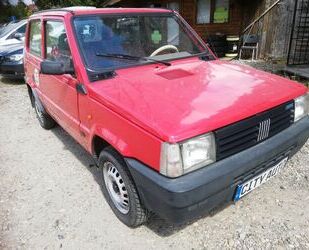 Fiat Fiat Panda 25 Km/h Auto in TOP Zustand Gebrauchtwagen