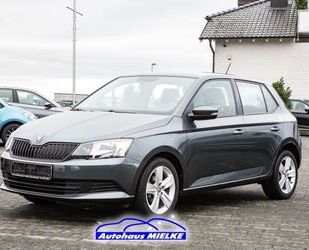 Skoda Skoda Fabia Cool Edition 1.0 Klima/Alu/PDC/BT/DAB Gebrauchtwagen