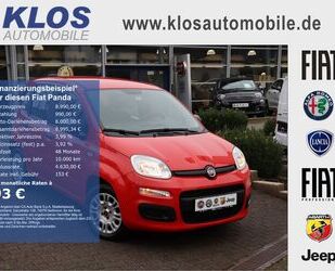 Fiat Fiat Panda EASY 1.2 69 PS KLIMA RADIO SERVO Gebrauchtwagen