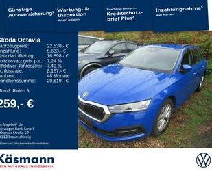 Skoda Skoda Octavia Combi Ambition iV LED SHZ GRA CARPLA Gebrauchtwagen