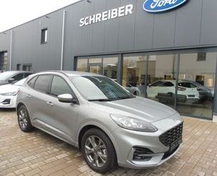 Ford Ford Kuga ST-Line X FHEV Automatik*B&O Soundsystem Gebrauchtwagen