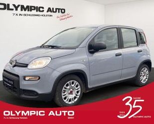 Fiat Fiat Panda 1.0 Hybrid KLIMAANLAGE DAB-RADIO BLUETO Gebrauchtwagen