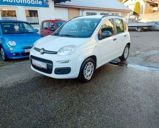 Fiat Fiat Panda My Panda Garantie Klima ZV el.FH Gebrauchtwagen