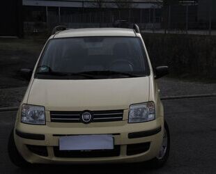 Fiat Fiat Panda Gebrauchtwagen