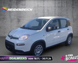 Fiat Fiat Panda 1.0 GSE Hybrid (312) Gebrauchtwagen