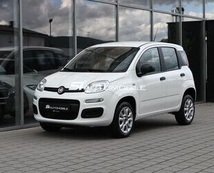 Fiat Fiat Panda 0.9 Twinair Natural Power Easy Benzin / Gebrauchtwagen