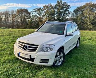 Mercedes-Benz Mercedes-Benz GLK 220 CDI 4MATIC BlueEFFICIENCY - Gebrauchtwagen