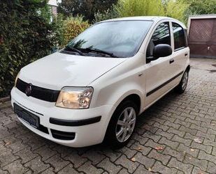 Fiat Fiat Panda 1.1 8V Active Zahnriemen Neu,Garantie, Gebrauchtwagen