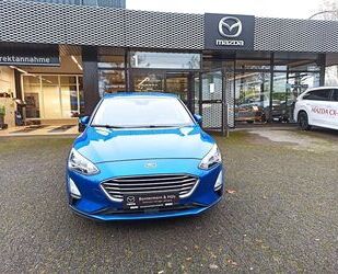 Ford Ford Focus 1.0 EcoBoost Cool & Connect *Winter-Pak Gebrauchtwagen