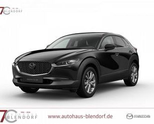 Mazda CX-30 Gebrauchtwagen