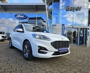 Ford Ford Kuga 2.0 EcoBlue Hybrid ST-LINE X Gebrauchtwagen