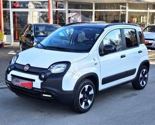 Fiat Fiat Panda City Cross Waze 1,2 8V BiColor Gebrauchtwagen