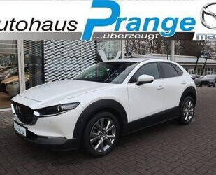 Mazda Mazda CX-30 M-Hybrid Selection G-122 DES-P A18 All Gebrauchtwagen