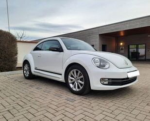 VW Volkswagen Beetle 2.0 TDI BMT CLUB CLUB Gebrauchtwagen