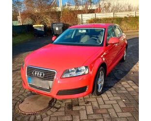 Audi Audi A3 1.6 Ambition Sportback Ambition Gebrauchtwagen