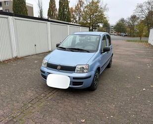 Fiat Fiat Panda 1.2 Gebrauchtwagen