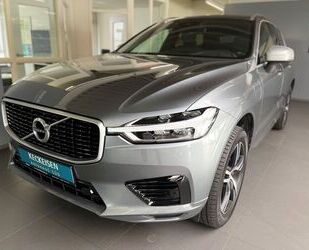 Volvo Volvo XC60 T8 Twin Engine AWD Aut. R-Design 5-Pake Gebrauchtwagen