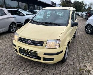 Fiat Fiat Panda 1.2 8V Dynamic Gebrauchtwagen