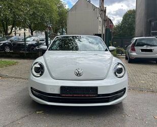 VW Volkswagen Beetle Cabriolet Cup Design BMT*Bi-Xeno Gebrauchtwagen