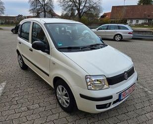 Fiat Fiat Panda 1.2 8V Classic Gebrauchtwagen