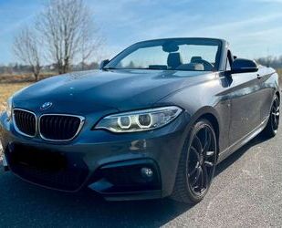 BMW BMW 220i M Sport Cabrio Navi Prof/LED/Kamera/2.HD Gebrauchtwagen