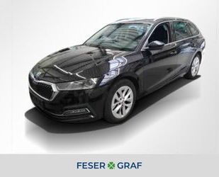 Skoda Skoda Octavia Combi 2.0 TDI DSG MATRIX-LED RFK ACC Gebrauchtwagen