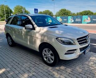 Mercedes-Benz Mercedes-Benz ML 350 BlueTEC 4MATIC Schiebdach Gebrauchtwagen