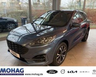 Ford Ford Kuga PHEV ST-Line X - B&O ACC BLIS KAMERA PDC Gebrauchtwagen