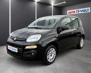 Fiat Fiat Panda 1.2 8V Easy Klimaanlage Sitzheizung Gebrauchtwagen