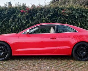 Audi Audi S5 quattro - V8 - HS - Projekt Gebrauchtwagen