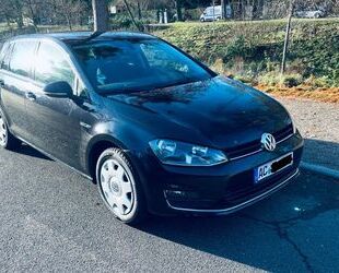 VW Volkswagen Golf 1.4 TSI 92kW BMT LOUNGE LOUNGE Gebrauchtwagen