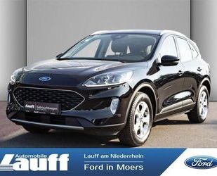 Ford Ford Kuga Cool & Connect 1.5l EcoBlue AHK NAVI PDC Gebrauchtwagen