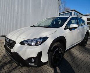 Subaru Subaru XV 1.6i Trend Lineartronic 4WD+AZV+WR Gebrauchtwagen