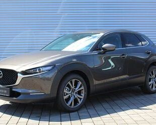 Mazda Mazda CX30 150 M-Hybrid AT Select.DES-ACT-P BOSE M Gebrauchtwagen