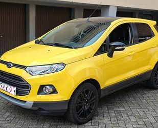 Ford Ford EcoSport 1,0 EcoBoost 92KW Titanium Titanium Gebrauchtwagen