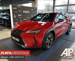 Lexus Lexus UX 250 h Luxury Line - Mark Levinson Gebrauchtwagen