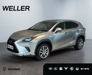 Lexus Lexus NX 300h Executive Line *LED*ACC*CAM*SHZ*el H Gebrauchtwagen