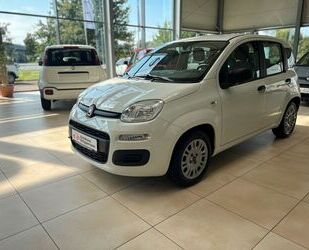 Fiat Fiat Panda + Ganzjahresreifen Gebrauchtwagen